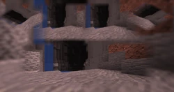 The bottom of a ravine through a spider's eyes.