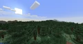 Taiga biome.