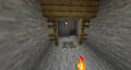 A mineshaft that generated at bedrock level.