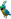 Cyan Parrot