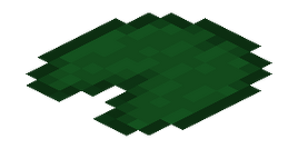 Lily Pad (on the water)
