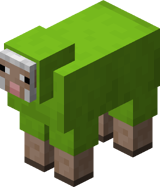 Lime Sheep