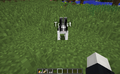 First image of Toast.