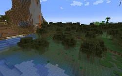 Swamp near a large hill.