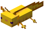 Gold Axolotl
