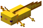 Gold Axolotl