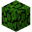 Jungle Leaves (fast) JE2.png