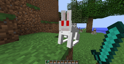 Rabbit Hide – Minecraft Wiki