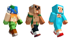 Skins in the MINECON 2017 Skin Pack.