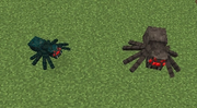 SpiderSizeComparison