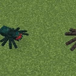 Arthropods