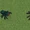 Arthropods