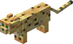 Ocelot