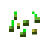 Seeds