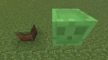 Nagy 0.0 blokk méretű