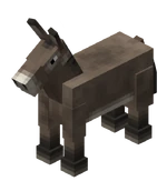 Donkey