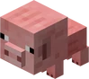 Babypig