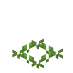 Carrots Age 0 JE2 BE2