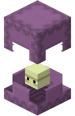 Shulker Open