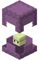 Shulker Open.png