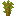 Acacia sapling.png