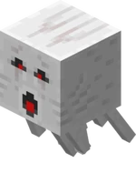 Ghast shooting