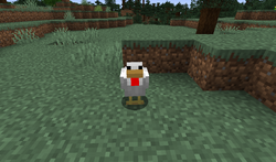 ニワトリ Minecraft Wiki ニワトリ Minecraft Wiki
