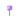 Allium JE2 BE2