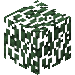 削除されたブロック Minecraft Wiki