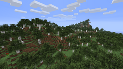 シラカバの森 Minecraft Wiki