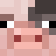 SpottedPigFace