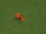 Redstone.air.torch-a