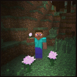 花 Minecraft Wiki