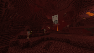 Nether