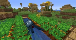 イカ Minecraft Wiki
