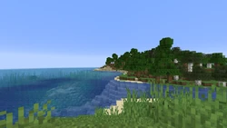 Villager View