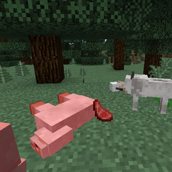 オオカミ Minecraft Wiki
