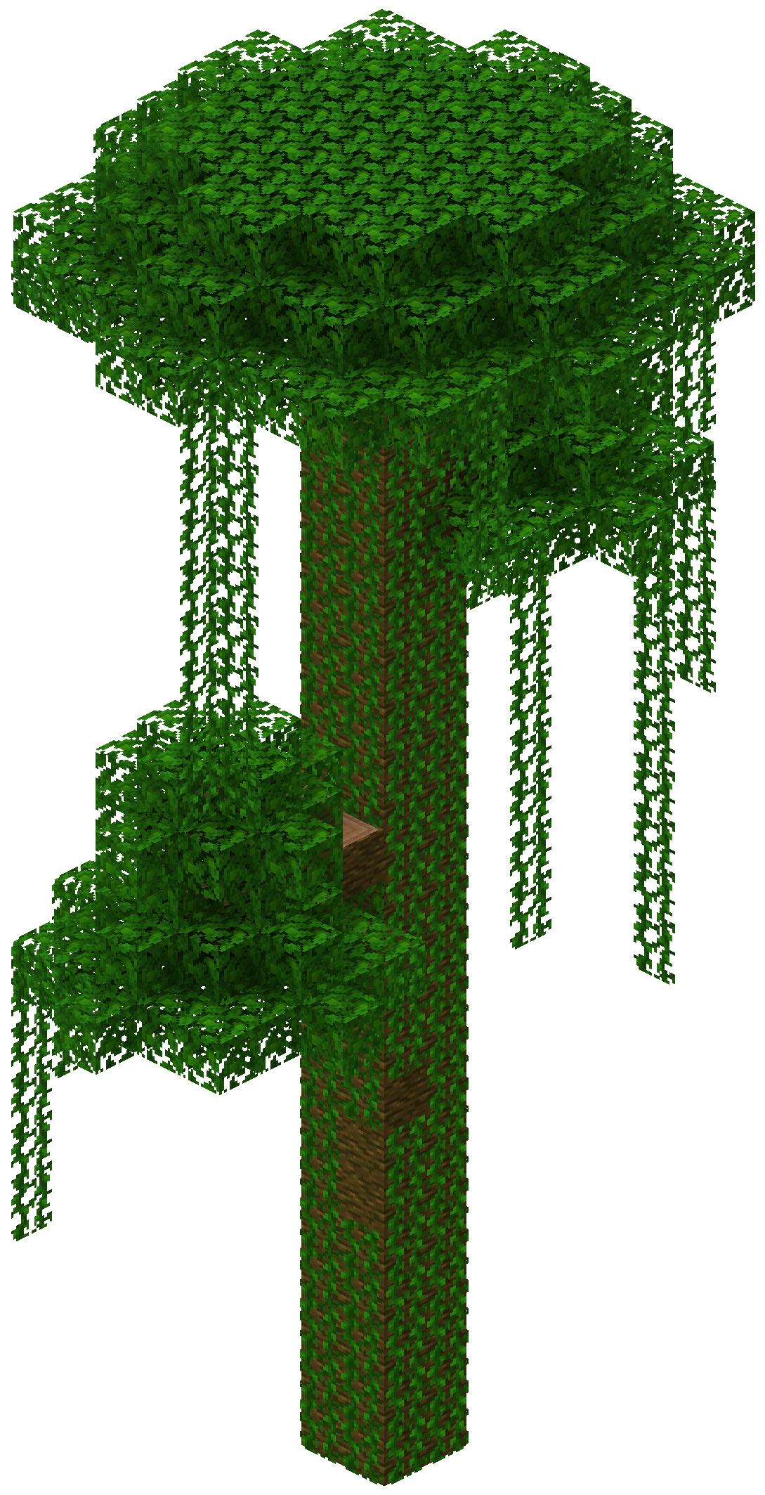 ジャングルの木 Minecraft Wiki