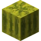 Melon