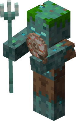 ドラウンド Minecraft Wiki