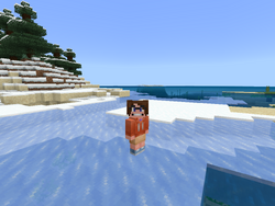 キャラクタークリエイター Minecraft Wiki キャラクタークリエイター Minecraft Wiki