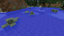 苔石の岩 Minecraft Wiki
