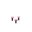 Swamp Pink Petals (Cold)