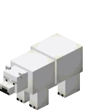 Polar Bear attacking