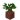 Potted Dark Oak Sapling