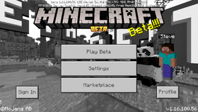 Bedrock 1.16.100.56