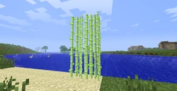 サトウキビ Minecraft Wiki