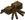 Spider (pre-release)