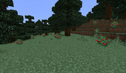 スイートベリーの低木 Minecraft Wiki スイートベリーの低木 Minecraft Wiki