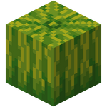 スイカ Minecraft Wiki